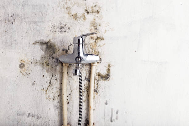 Best Residential Mold Removal  in Lucerne, CA