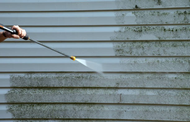 Mold Testing and Removal in Lucerne, CA