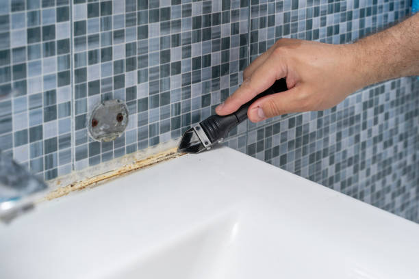Best Mold Damage Repair  in Lucerne, CA