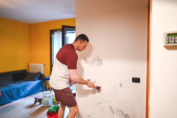 Best Mold Remediation  in Lucerne, CA